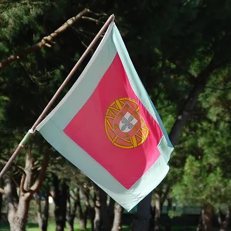 Πανσιόν Quinta A Reforma Rossio ao Sul do Tejo