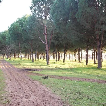 Quinta A Reforma Πανσιόν Rossio ao Sul do Tejo