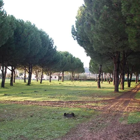 Quinta A Reforma *