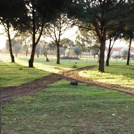 בית הארחה Quinta A Reforma Rossio ao Sul do Tejo
