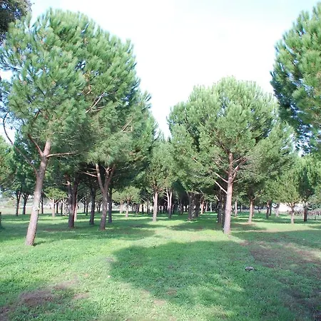 Quinta A Reforma 3* Rossio ao Sul do Tejo