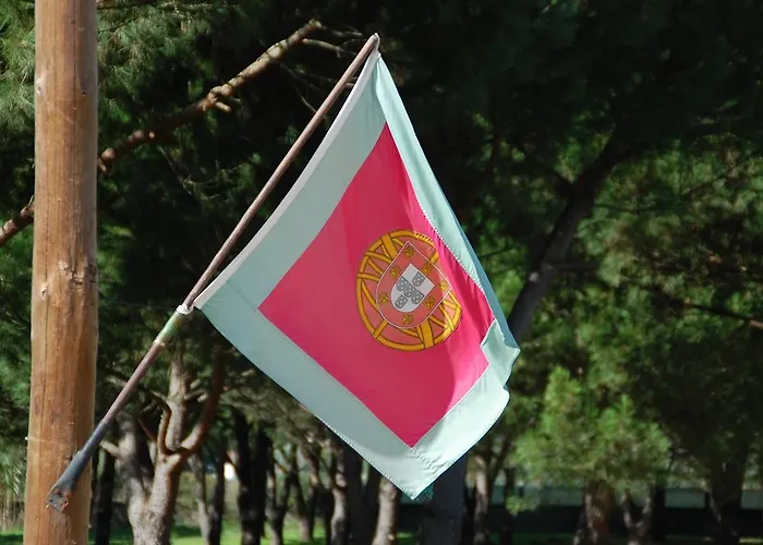 Vendégház Quinta A Reforma Rossio ao Sul do Tejo