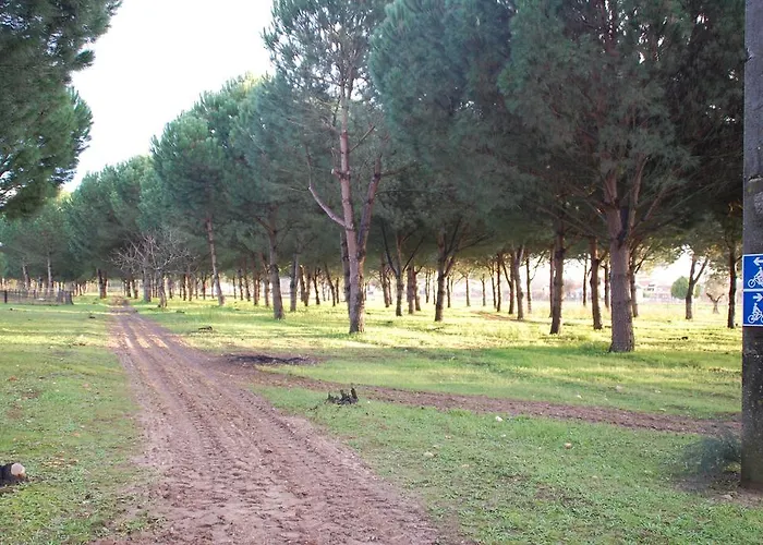 Quinta A Reforma Vendégház Rossio ao Sul do Tejo