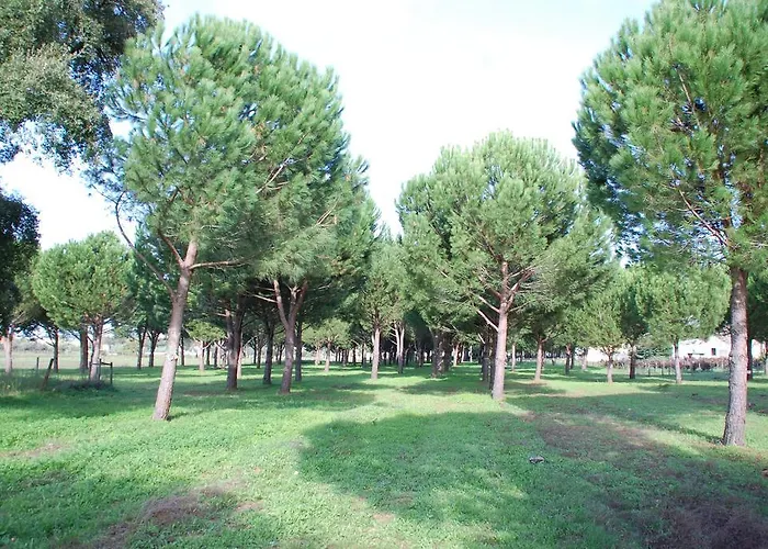 Quinta A Reforma 3* Rossio ao Sul do Tejo